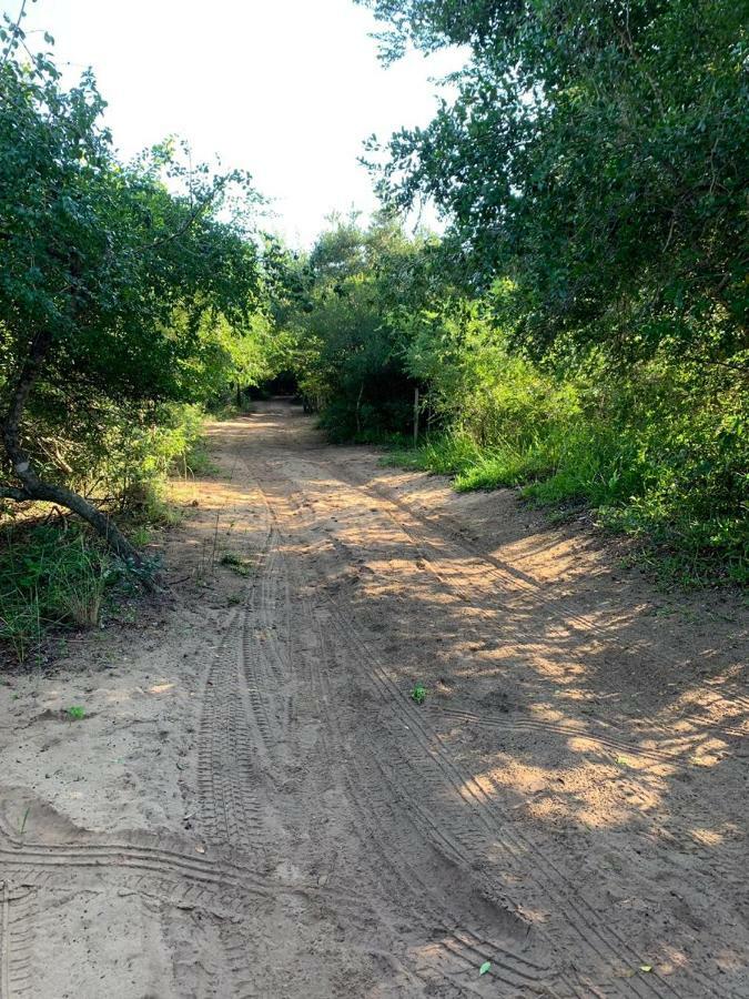 Nkumbe Bush Retreat Family Home Ponta Malongane Екстериор снимка